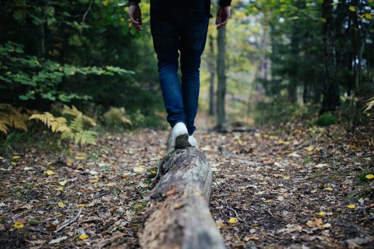 Quelqu'un marche en forêt